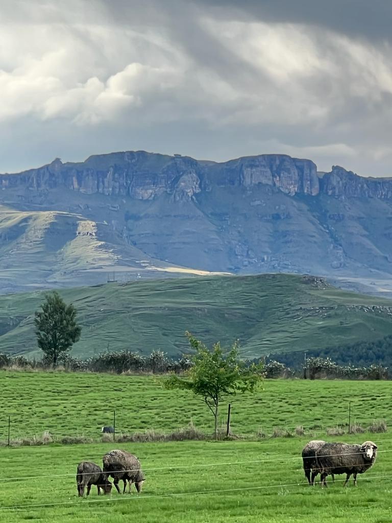 WhatsApp Image 2022-12-13 at 10.53.36 (5)